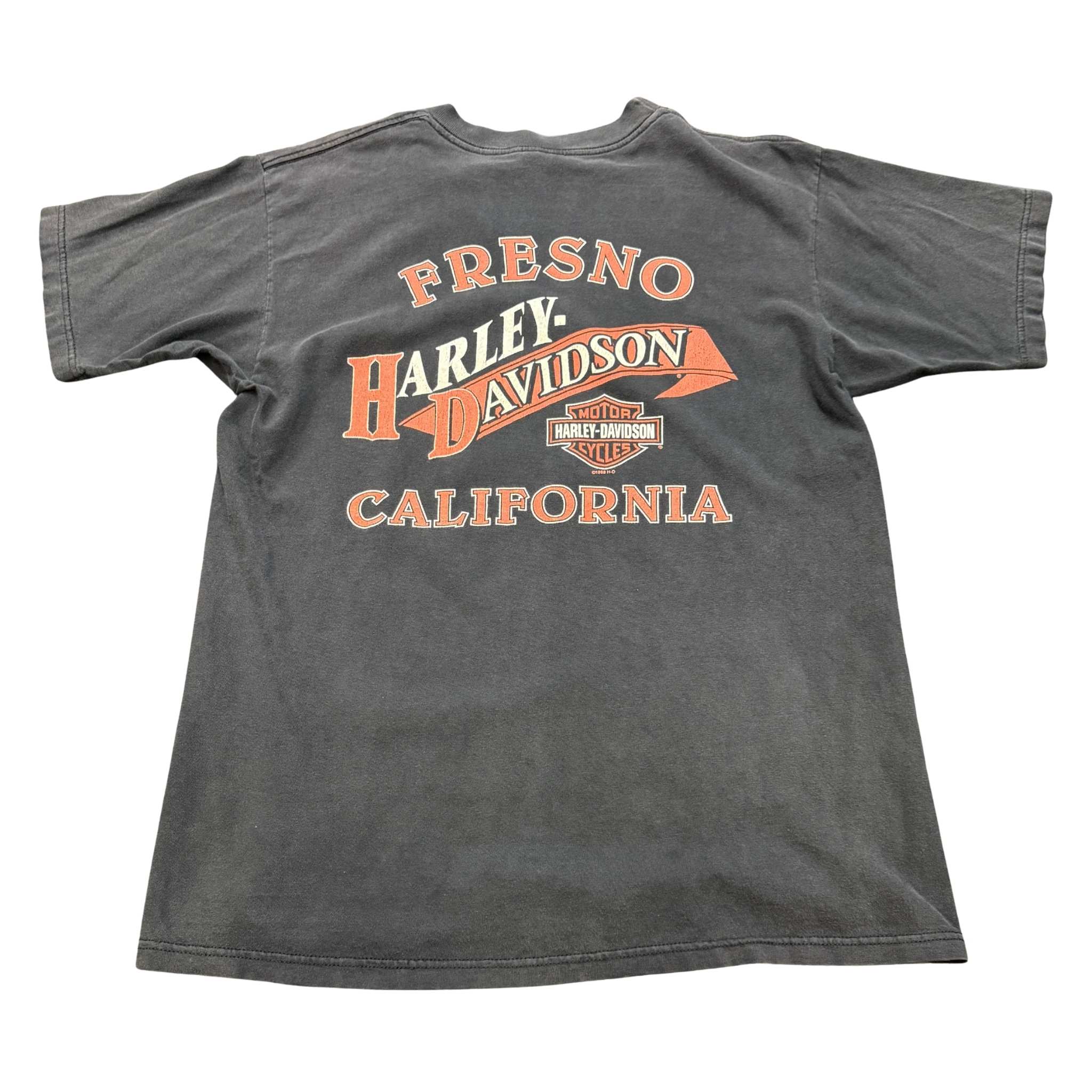 fresno99back.jpg