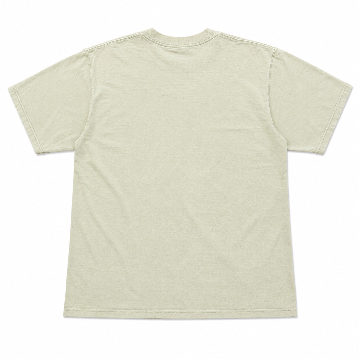 (FS) Vintage Sage Blank Tee