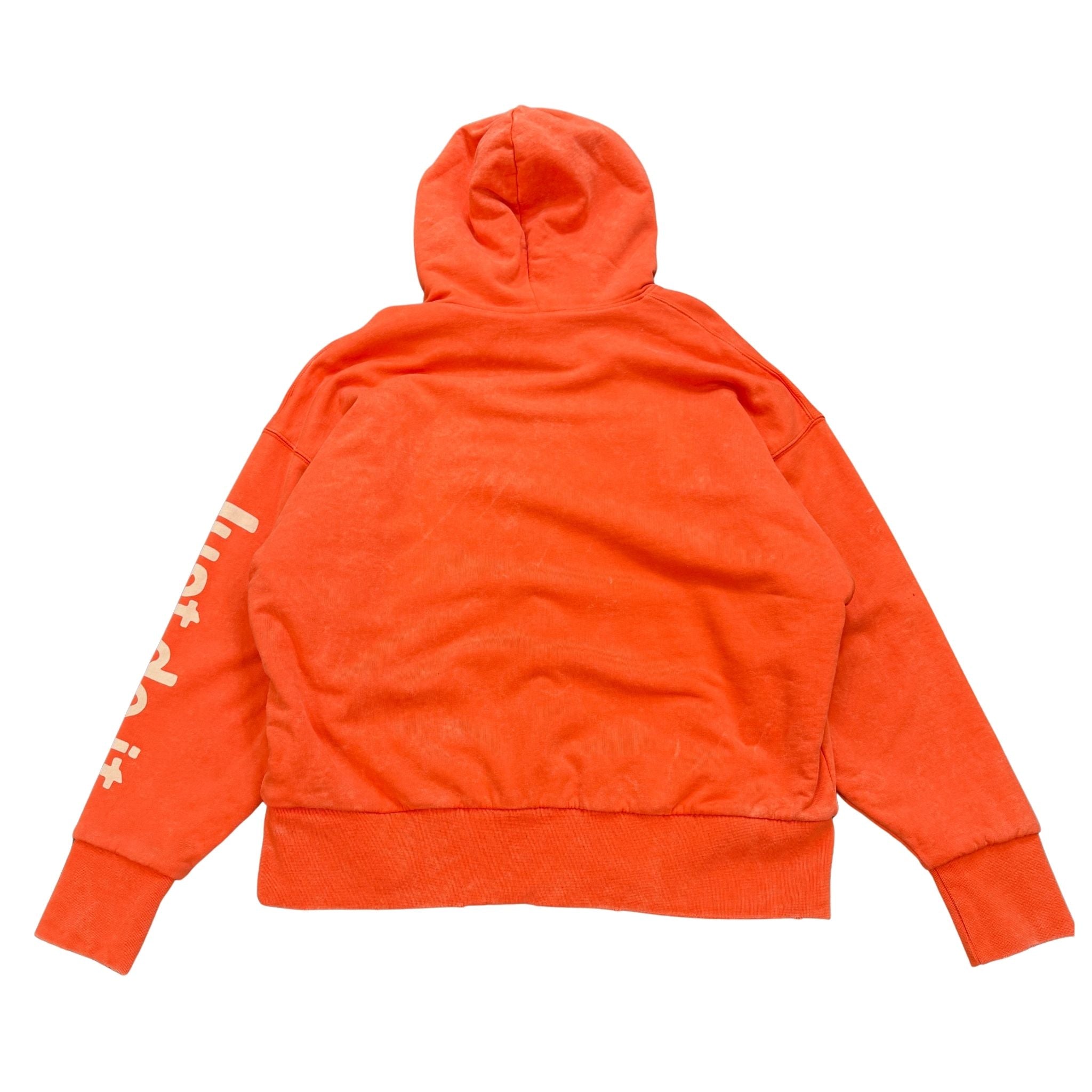 shoeboxhoodieback.jpg