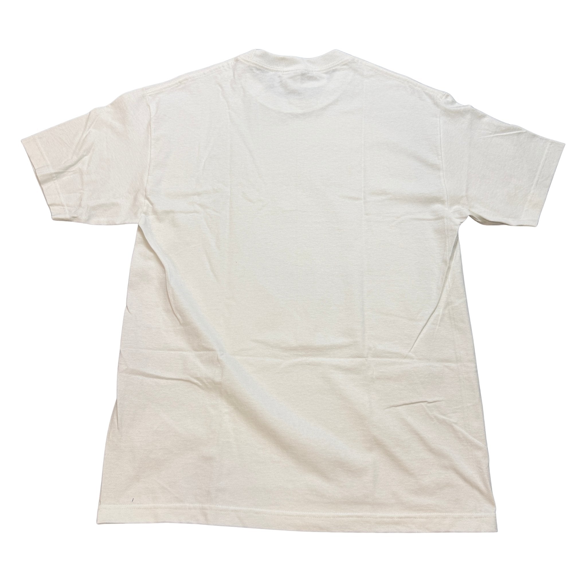 skateboardteeback.jpg